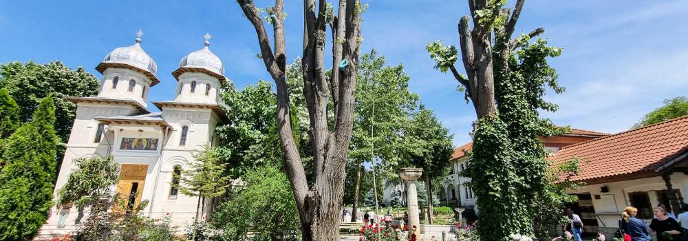 Mănăstirea Dervent