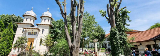 Mănăstirea Dervent