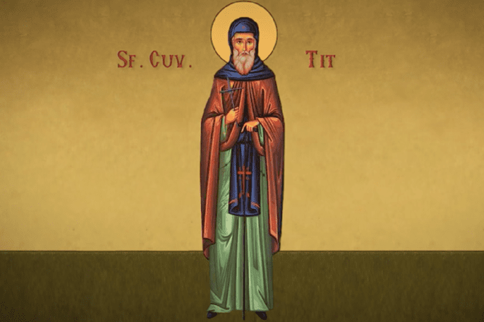 Sfântul Cuvios Tit