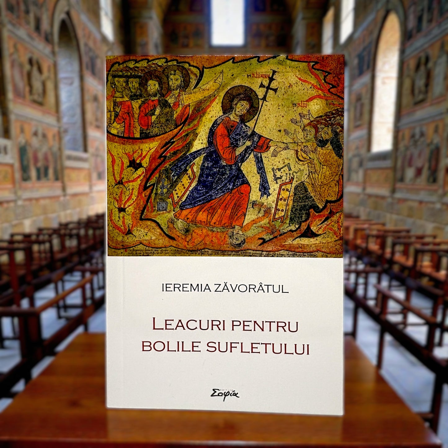Leacuri pentru bolile sufletului - Ieremia Zăvorâtul image 0